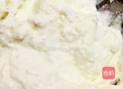 奶酪包的做法图解3