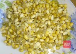 黄豆芽炒肉皮的做法图解2