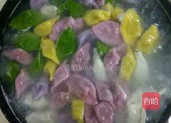 彩色饺子的做法图解11