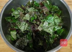 蒸红薯叶疙瘩的做法图解1