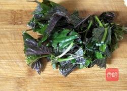 紫苏炒田螺的做法图解3