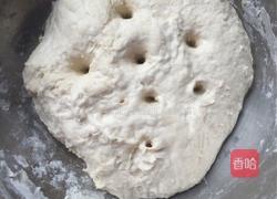 猪肉白菜什锦包的做法图解6