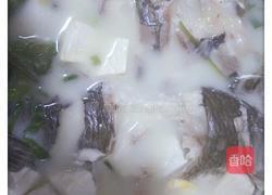 鲫鱼炖汤的做法图解8