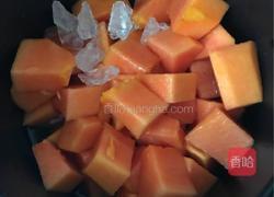 木瓜鲜奶的做法图解4