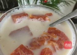 木瓜鲜奶的做法图解6
