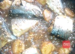 糟青占鱼的做法图解5