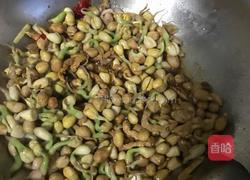 花生芽炒肉丝的做法图解8