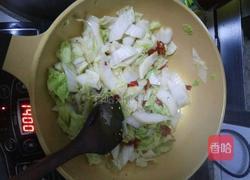 辣炒大白菜的做法图解5