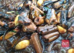 家常红烧黄鳝的做法图解8