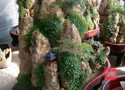 黄氏焗饭的做法图解3