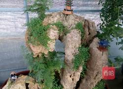 黄氏焗饭的做法图解4