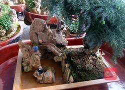 黄氏焗饭的做法图解6