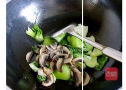 口蘑菜心的做法图解6