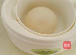 奥尔良鸡肉披萨的做法图解2