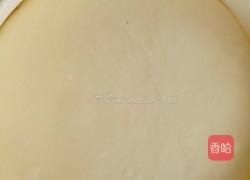 奥尔良鸡肉披萨的做法图解3