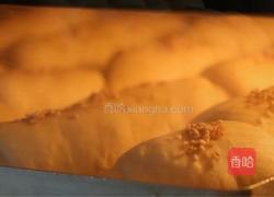 红薯餐包的做法图解17