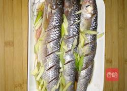 茄汁梭鱼的做法图解1