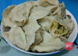 白菜猪肉大葱饺子的做法图解6