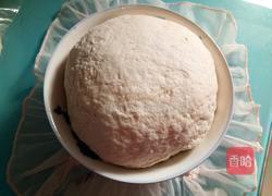 白菜猪肉大葱饺子的做法图解3