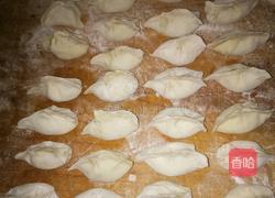 白菜猪肉大葱饺子的做法图解4