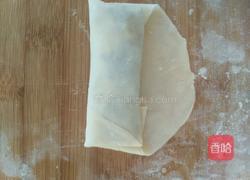 薄如纸的春卷的做法图解9
