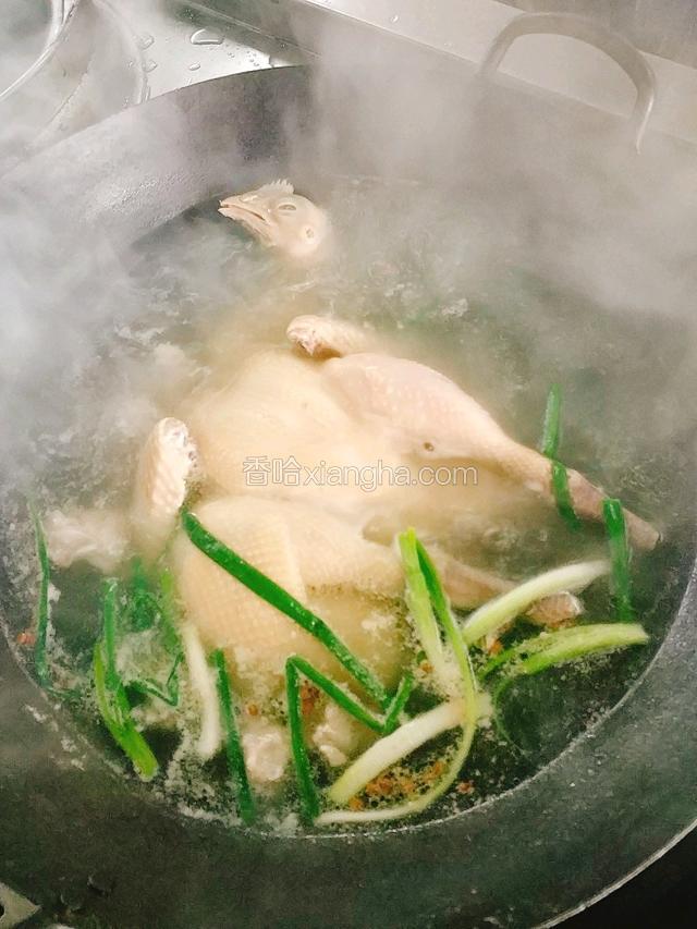锅里加水，下整鸡，加葱姜，料酒。煮15分钟，打去浮沫。