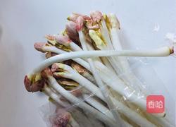 清炒花生芽的做法图解1