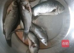 鲫鱼汤的做法图解1