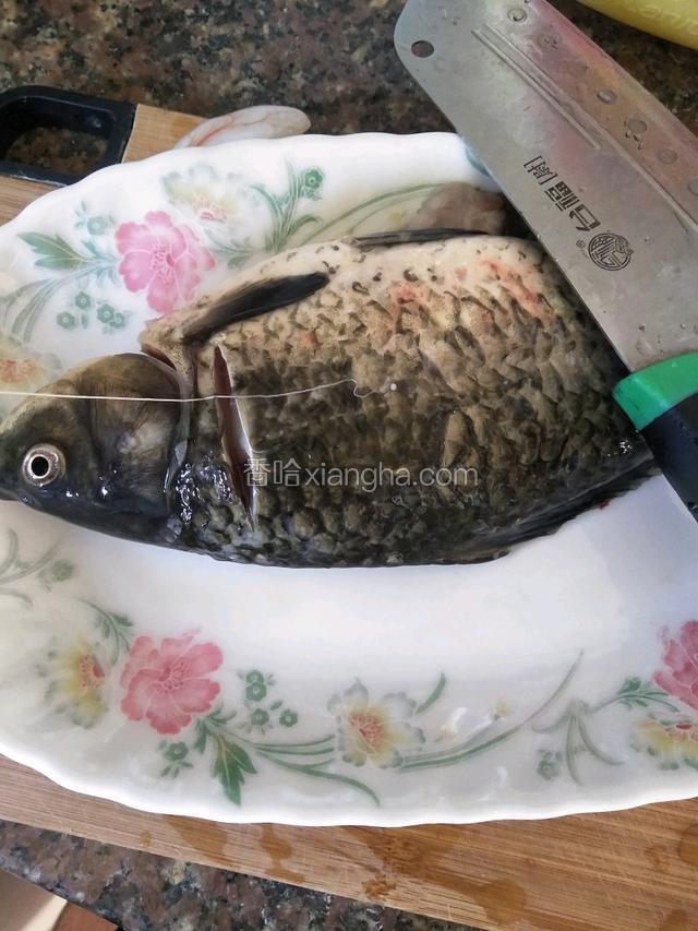 洗净两头切一下去掉鱼线