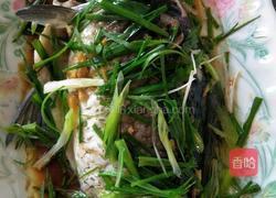 清蒸鲫鱼的做法图解11