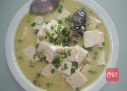 豆腐鱼汤(鲜）的做法图解4