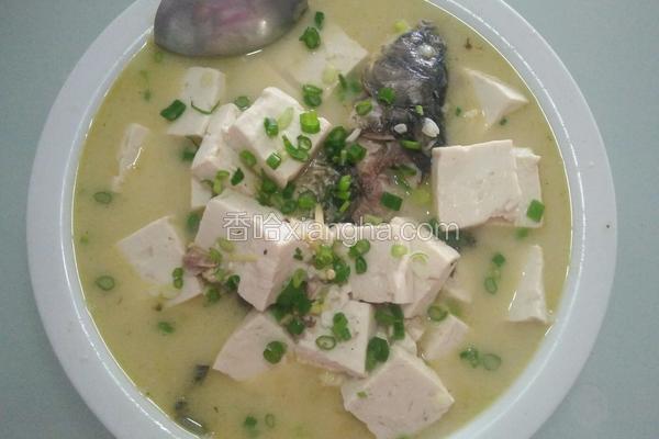 豆腐鱼汤(鲜）