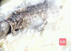 豆腐鱼汤(鲜）的做法图解3