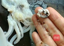 鲜鱿炒青瓜的做法图解1