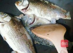 鲫鱼萝卜汤的做法图解4