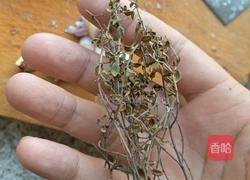 龙虾三吃 的做法图解25