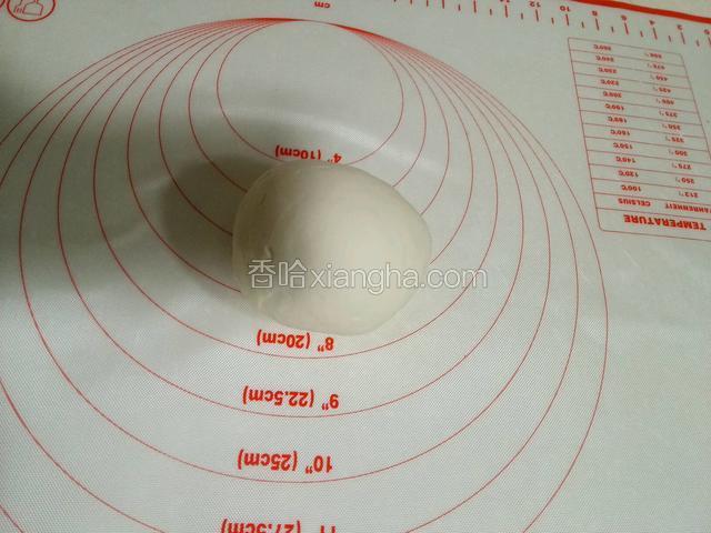 和好的面团(和面时放少许的盐，醒20分钟)
