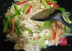 海鲜菇炒肉的做法图解4