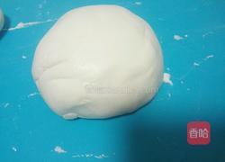 酒酿圆子的做法图解4