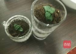 奥利奥盆栽的做法图解3