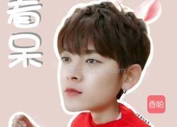 水果蛋糕的做法图解8