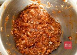 胡萝卜豆渣肉丸和白萝卜豆渣肉丸的做法图解3