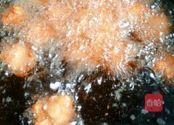 胡萝卜豆渣肉丸和白萝卜豆渣肉丸的做法图解9