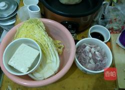 白菜肉烧豆腐的做法图解3