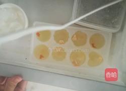 橘皮橙汁冰块的做法图解5