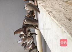 咸鱼干的做法图解6