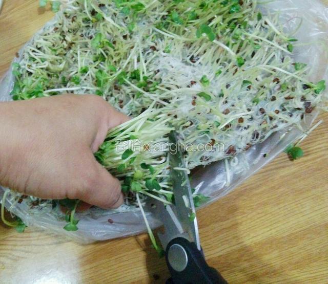 减去根部。