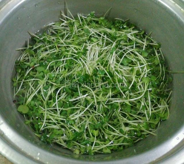 用水冲洗，再用盐水浸泡20分钟左右。再清水冲洗干净。