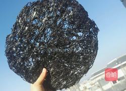 煎(烙)紫菜片的做法图解1