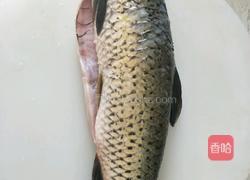红烧鱼块的做法图解1